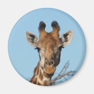 Imã Girafa