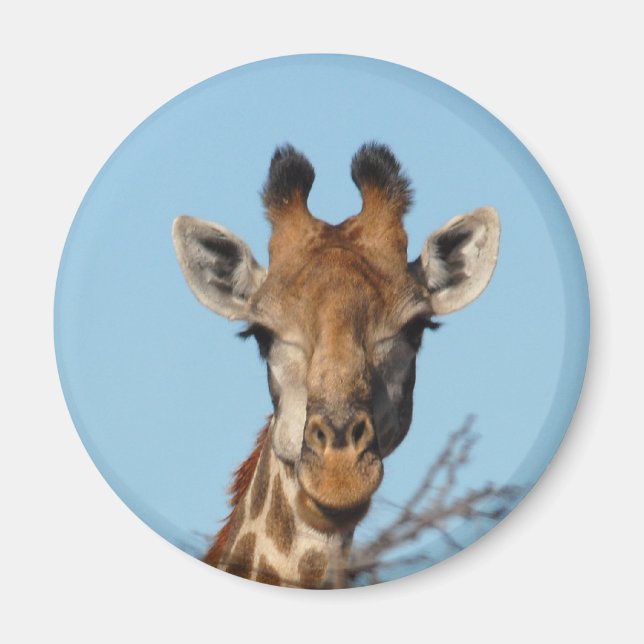 Imã Girafa (Frente)
