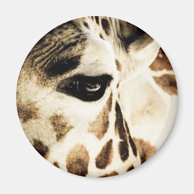 Imã Girafa (Frente)