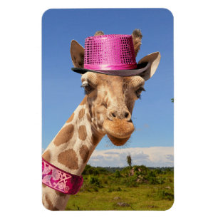 Ímã Girafa de chapéu cor-de-rosa brilhante