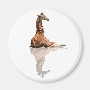 IMÃ GIRAFA DO BEBÊ