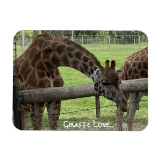 Ímã Girafa Love...