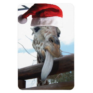 Ímã Girafa vestindo um chapéu de Papai Noel
