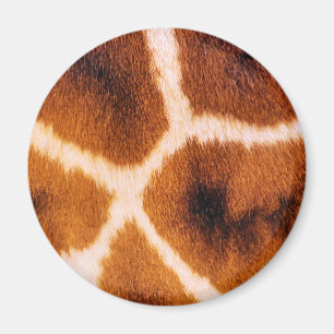IMÃ GIRAFAS