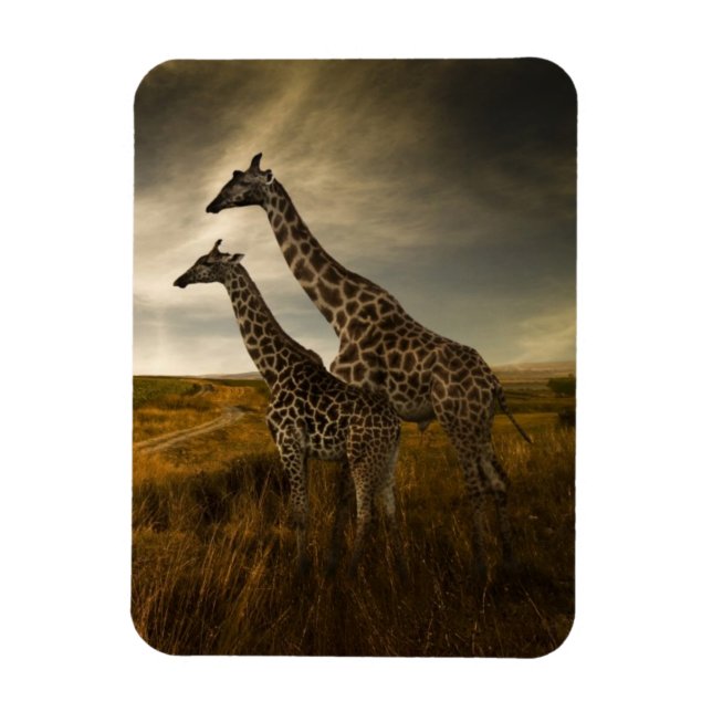 Ímã Girafas e a paisagem (Vertical)