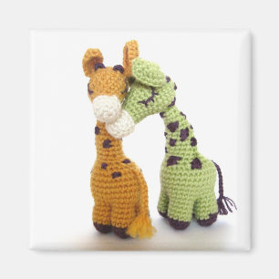 Imã Girafas sonhadores