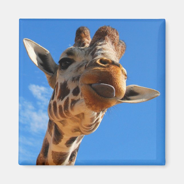 Imã Giraffe Magnet (Frente)