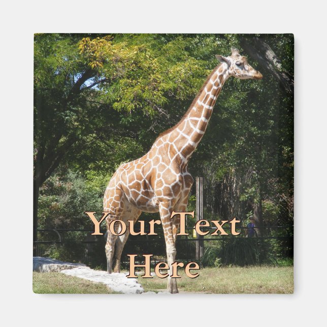 Imã Giraffe Magnet (Frente)