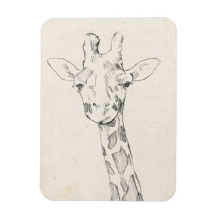 Ímã Giraffe Portrait   Esboço