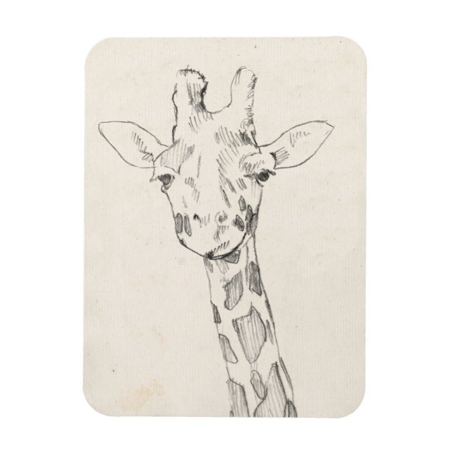 Ímã Giraffe Portrait | Esboço (Vertical)