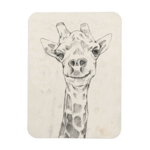 Ímã Giraffe Portrait Sketch
