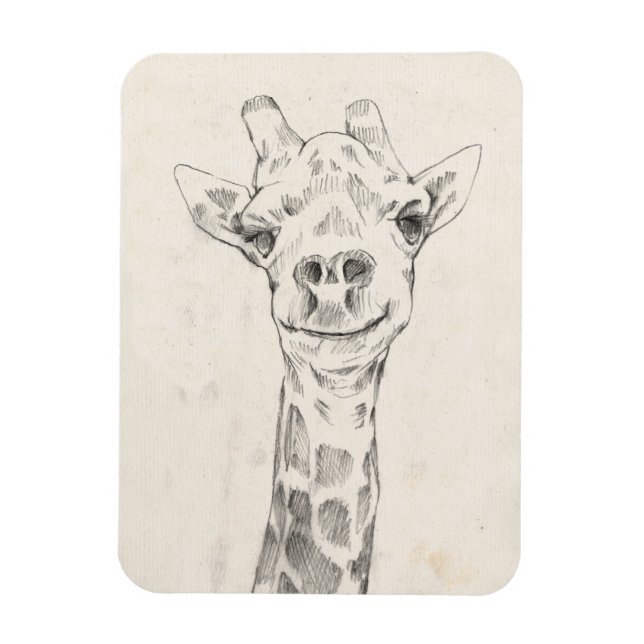Ímã Giraffe Portrait Sketch (Vertical)