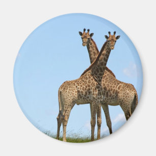 Imã Giraffe Twins Magnet