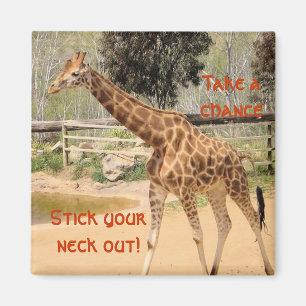 Imã giraffee