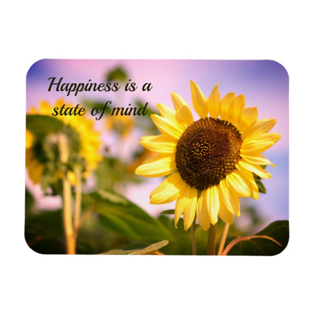 Ímã Girassóis na RHS Wisley, Reino Unido (Horizontal)