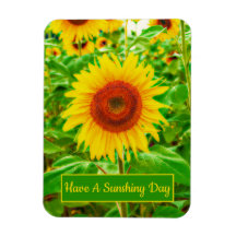 Girassóis País Amarelo Verde Brilho Floral