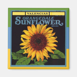 Imã Girassol da propaganda da caixa da fruta do