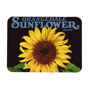 Ímã Girassol de Orangedale da arte da etiqueta da