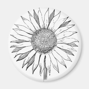 Imã Girassol Ilustrado