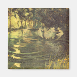 Imã Giro das fadas pelo preto de Arthur, dança