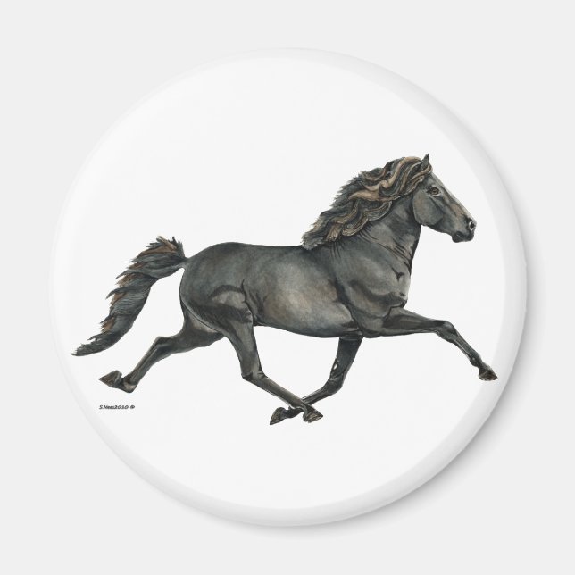 Imã Gletta (Frente)