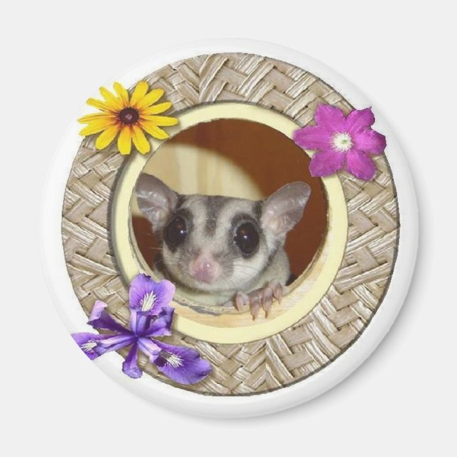 Imã Glider de Açúcar (Frente)