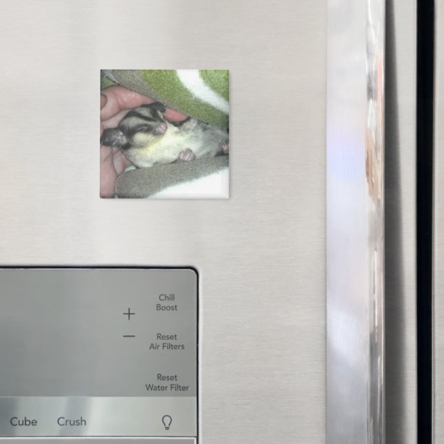 Imã Glider de Açúcar Dormindo em Aberto (In Situ (Fridge))