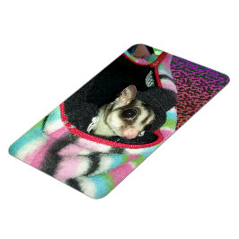 Ímã Glider de Açúcar Vestindo Chapéu