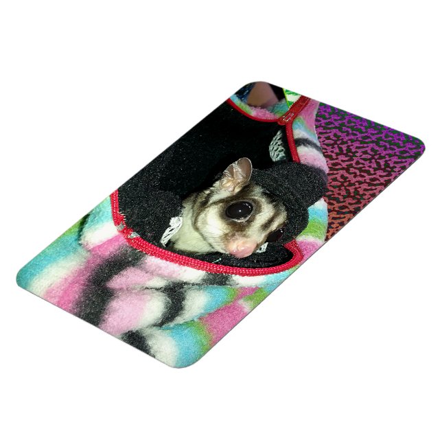 Ímã Glider de Açúcar Vestindo Chapéu (Left Side)