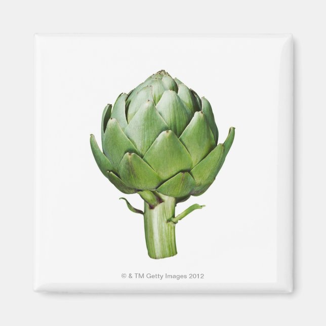 Imã Globe Artichoke em White Background Corte Out (Frente)