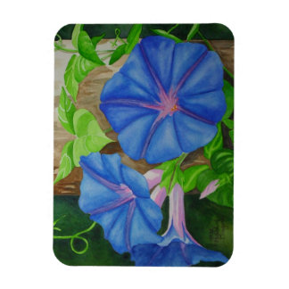 Ímã Glória da Manhã