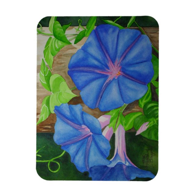 Ímã Glória da Manhã (Vertical)