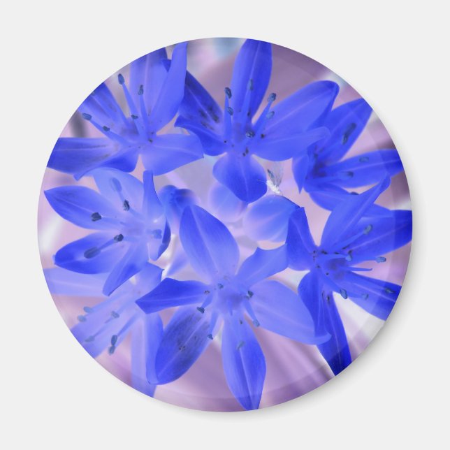 Imã Glória Da Neve Chocante Magneta Azul (Frente)