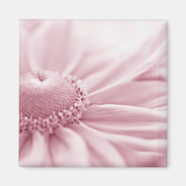 Imã Gloriosa Daisy Macro