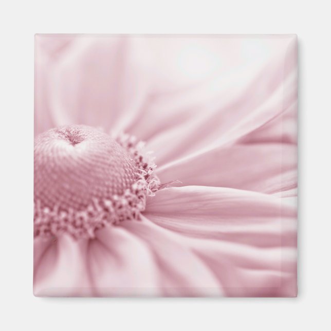 Imã Gloriosa Daisy Macro (Frente)