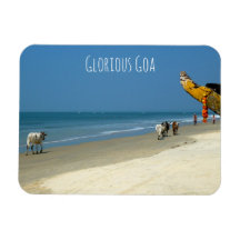 Goa Glorioso - vacas na praia em Goa Meridional