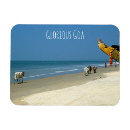 Ímã Goa Glorioso - vacas na praia em Goa Meridional