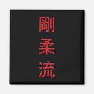 Imã Goju Ryu Karate Melhor Arte Marcial Desde 1930