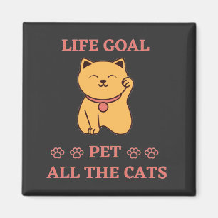 Imã Gol ganha a vida amando o gato todo