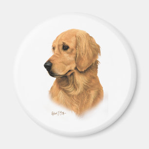 Imã Golden retriever