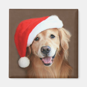 Imã Golden retriever com chapéu do papai noel