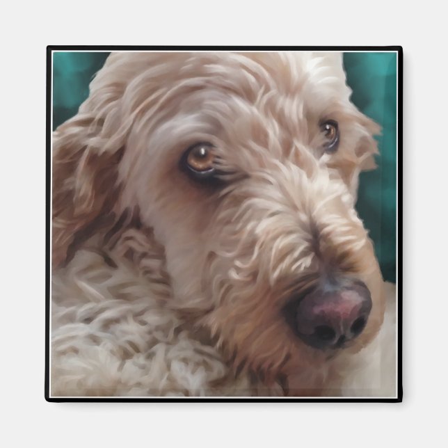 Imã Goldendoodle (Frente)