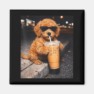 Imã Goldendoodle bebendo café gelado meme de animal en