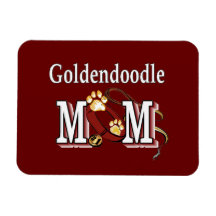 Goldendoodle Mamãe Dons