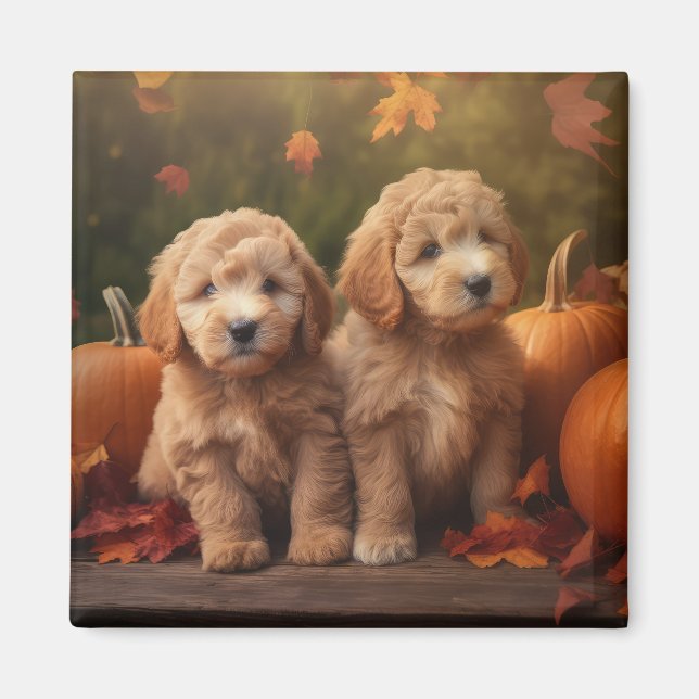Imã Goldendoodle Puppy Autumn Delight Pumpkin (Frente)