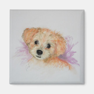 Imã Goldendoodle Puppy Dog Art Magnet