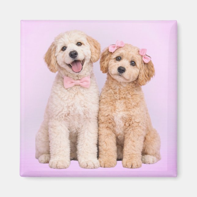 Imã Goldendoodle Puppy Love Valentine Magnet (Frente)