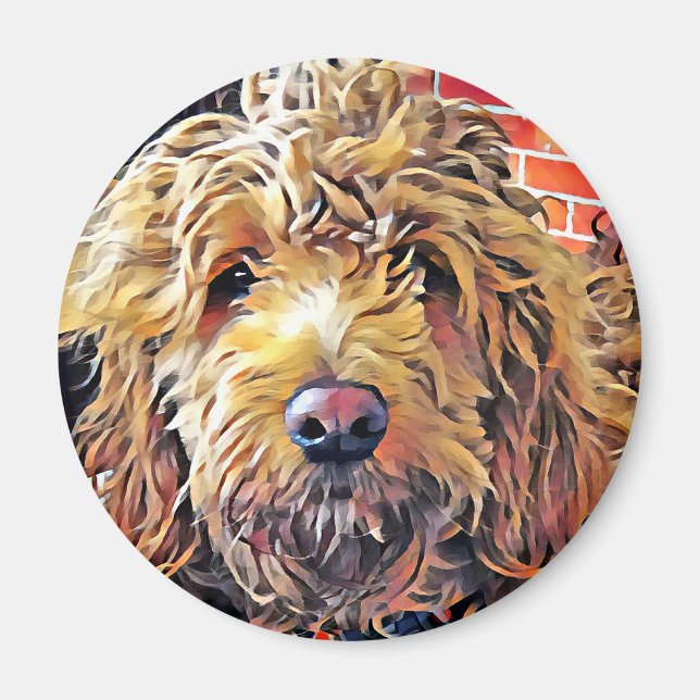 Imã Goldendoolde Puppy (Frente)