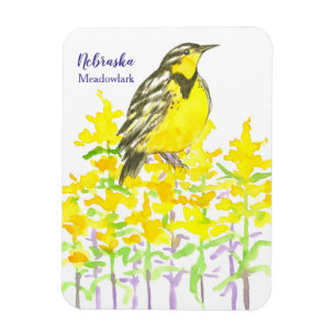 Ímã Goldenrod ocidental de Nebraska Meadowlark do