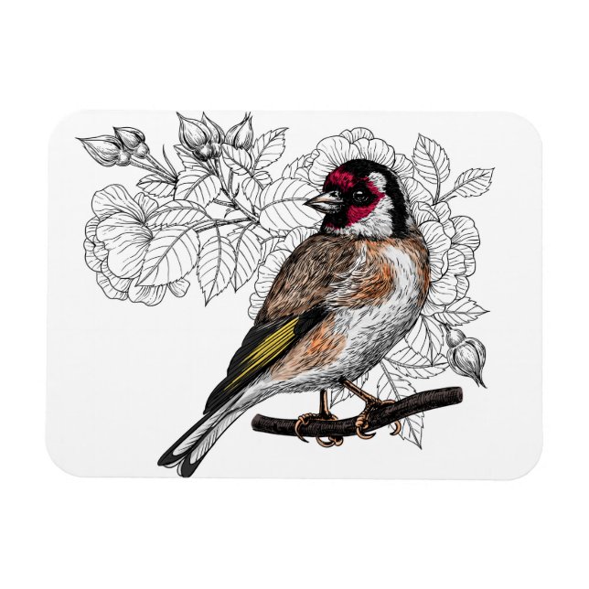 Ímã Goldfinch e rosas (Horizontal)